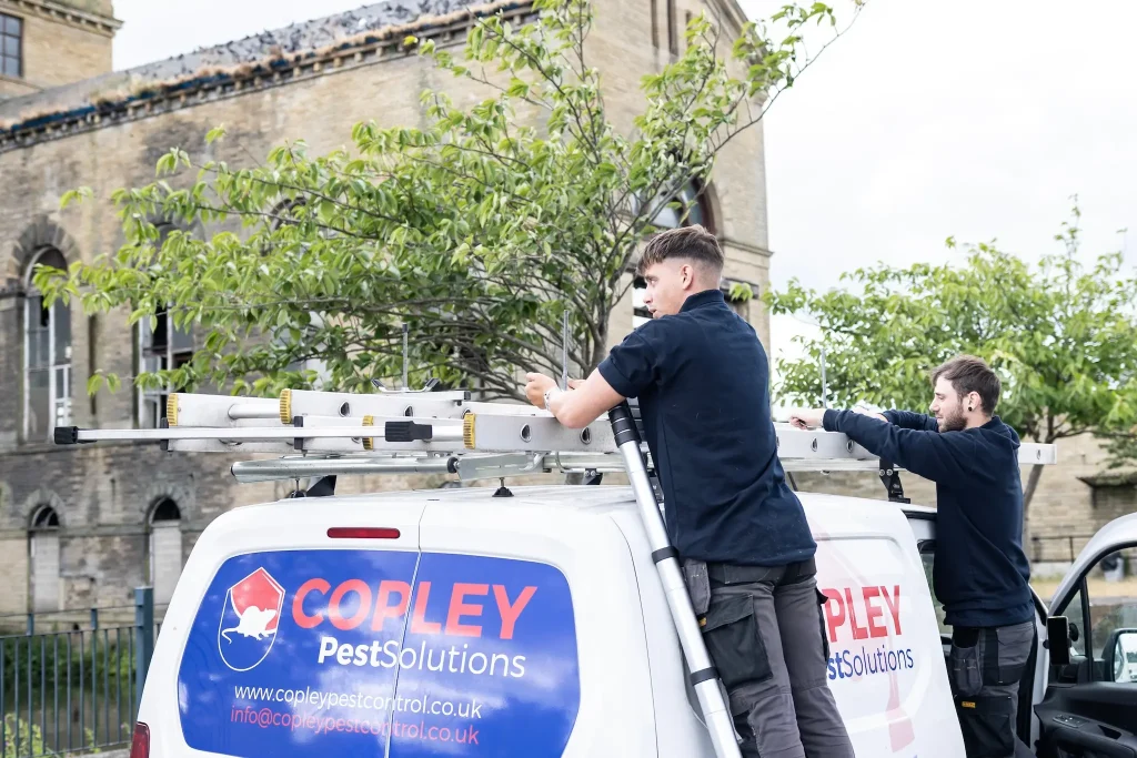 Copley staff on a ladder above a branded van